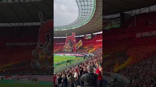 Spektakuläre Choreo 🔥 Kaiserslautern  Leverkusen  DFBPokalfinale 🏆 Berlin 🇩🇪 2024 dfbpokal [upl. by Carmon]