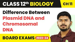 Difference Between Plasmid DNA amp Chromosomal DNA  Class 12 Biology Ch 11 NCERTNEET 202223 [upl. by Nolyaj367]