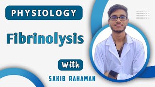 Clot retraction  Fibrinolysis of blood clotting  Hemostasis  Blood physiology bangla lecture [upl. by Hiamerej]