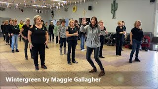 Wintergreen Line Dance  Maggie Gallagher [upl. by Aratahc]