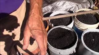 How to Charge Biochar [upl. by Andee]