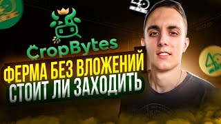 CROP BYTES P2E ИГРА ФЕРМА БЕЗ ВЛОЖЕНИЙ  CropBytes обзор  Стоит заходить  Сколько платит [upl. by Adnohsirk464]