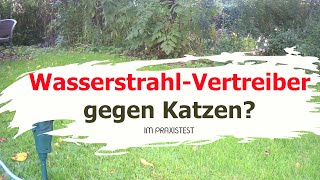 Wasser gegen Katzen  WasserstrahlTiervertreiber im Test   Katzen vertreibenvergrämen [upl. by Narib]