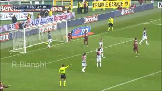 Torino FC  Tutti i gol 20122013 [upl. by Evered51]