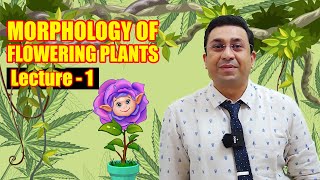 Morphology of Flowering Plants l lecture 1 l Biology l NEET [upl. by Mcgruter]