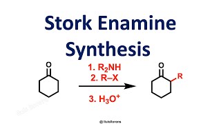 Stork Enamine Synthesis [upl. by Alliuqahs]