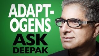 What Are Adaptogens Ask Deepak Chopra [upl. by Curcio461]