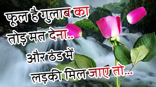 Phool Hai Gulab Ka🌹2024 ki Shayari 🌹 Gulab Shayari In Hindi [upl. by Auhsohey]