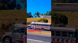 AUTOBUSES DE GUATEMALA feedshorts busesdeguatemalasuscribete [upl. by Bosson669]