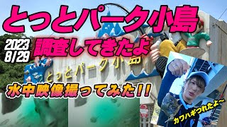 【水中映像あり】とっとパーク小島で釣行！いろいろな魚種を狙って竿をだしましたが… [upl. by Arriaes79]