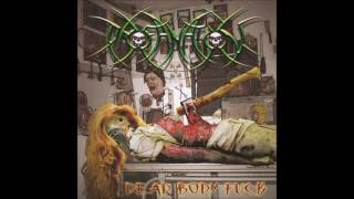 Profanation  Dead Body Fuck 2005 Full Album HQ Deathgrind [upl. by Meggs]