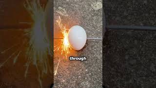 The Egg and Sparkler Experiment sparklingexperiments via TT [upl. by Einnoj]