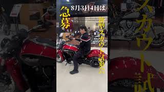 2024年8月3日4日は新型スカウト試乗会＃Indian＃ショート動画＃ハーレーダビットソン [upl. by Kali302]