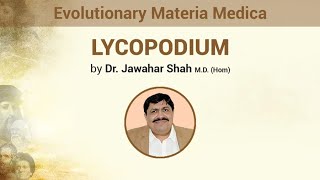 Evolutionary Materia Medica of Lycopodium Homeopathy Remedy [upl. by Livi]