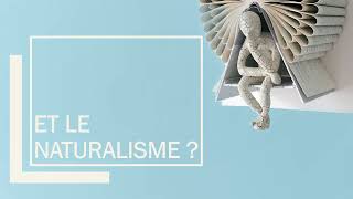 NATURALISME ET REALISME  16 minutes pour tout comprendre [upl. by Marcia]