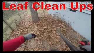 How To Price Leaf Clean Ups  How I Price Leaf Clean Ups [upl. by Elyrehc]