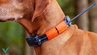 Los 5 Mejores Collares GPS para Perros en 2024 [upl. by Annoid713]