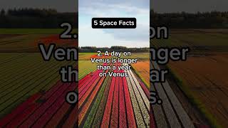 Mindblowing 5 Space Facts space facts spacefacts allunknownfacts shorts viral auf888 auf [upl. by Nhor715]