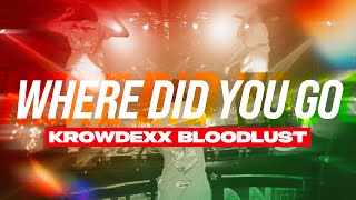 Krowdexx amp Bloodlust  WHERE DID YOU GO Official Videoclip [upl. by Llerrej]