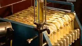 How Vegetable Oil Is Made [upl. by Harmonia]