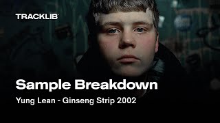 Sample Breakdown Yung Lean  Ginseng Strip 2002 [upl. by Romelle]