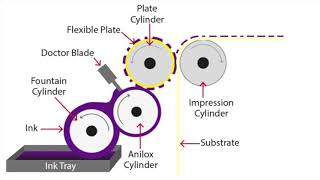 Flexographic Printing Explained [upl. by Olegnaed]