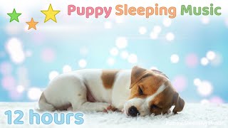 ☆ 12 HOURS ☆ Puppy Sleeping Music 🐶💤 Dog Relaxation Music ♫ Dog Sleep Music ♫ Puppy Music ♫ [upl. by Coral804]