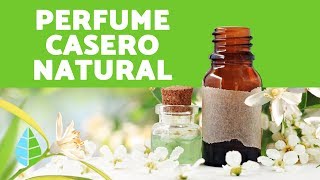 Cómo hacer PERFUME NATURAL CASERO  Elaboración de PERFUMES NATURALES [upl. by Ahsemit]