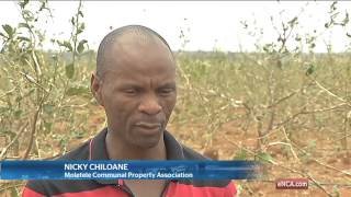 Storm brings misery to some farmers in Hoedspruit [upl. by Samara812]