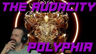 Where Does This Gamer Find THE AUDACITY  Polyphia  The Audacity Reaction [upl. by Arras186]