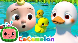 Five Little Ducks  Option 2  CoComelon Furry Friends  Animals for Kids [upl. by Genesa]