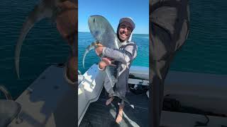 Fishing the Whitsunday Islands escapetheordinary fishing greatbarrierreef fish ocean trevally [upl. by Groves]