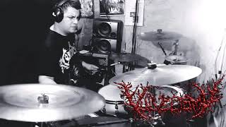 SLAM DRUMS EVOLUTION SLAMMING BRUTAL DEATH METAL [upl. by Eniamerej]