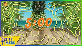 5 Minute Timer with Music and fun Pineapple timer bomb [upl. by Caesaria654]