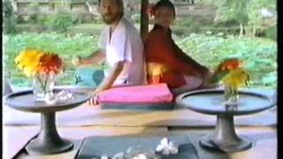 Redgum  Ive Been To Bali Too  promo video 1984 [upl. by Ronal]