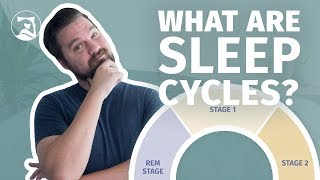 What Are Sleep Cycles  Everything You Need To Know [upl. by Yoo]