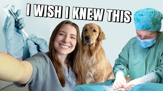 THE TRUTH ABOUT BEING A VET 5 things I learned in my first year as a new grad vet 🐾 [upl. by Ordnas]