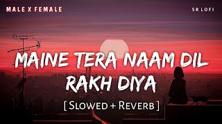 Maine Tera Naam Dil Rakh Diya Slowed  Reverb  Raghav Chaitanya Shreya Ghoshal  SR Lofi [upl. by Fidellas]