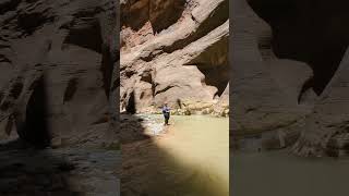 Discover The Narrows Zion’s Most Famous Trail zionnationalpark hikingadventure water hiking [upl. by Nasah]