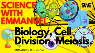 MEIOSIS CELL DIVISION  GCSE IGCSE amp KCSE BIOLOGY  AQA EDEXCEL CIE OCR WJEC ScienceWithEmmanuel [upl. by Dumanian]