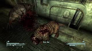 Mole Rat Repellent and Spying on Mirelurks  Fallout 3 Lets Play 31 [upl. by Samanthia]