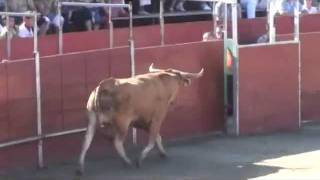 Toro salta a la grada en dos ocasiones bull jumpswmv [upl. by Eloccin116]