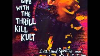 Thrill Kill Kult  Gateway To Hell [upl. by Krum]