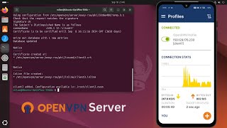 Set Up and Configure an OpenVPN Server on Ubuntu Linux [upl. by Ynehteb542]