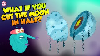 What If The Moon Split In Half  Moonquake  The Dr Binocs Show  Peekaboo Kidz [upl. by Romulus]