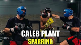 Caleb Plant Sparring [upl. by Jonme21]