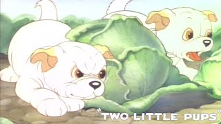 Two Little Pups 1936 MGM Happy Harmonies Cartoon Short Film  Review [upl. by Schlessel]