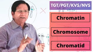 Chromatin Chromosome amp Chromatid  TGTPGTKVSNVS [upl. by Libna304]