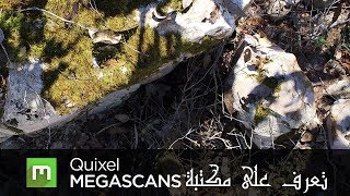 Quixel Mixer 02  Quixel Megascans  التعرّف على المكتبة و طريقة تحميل التكستيرات منها [upl. by Erena71]