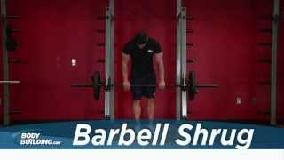 Barbell Shrug  Shoulder Exercise  Bodybuildingcom [upl. by Cartan]